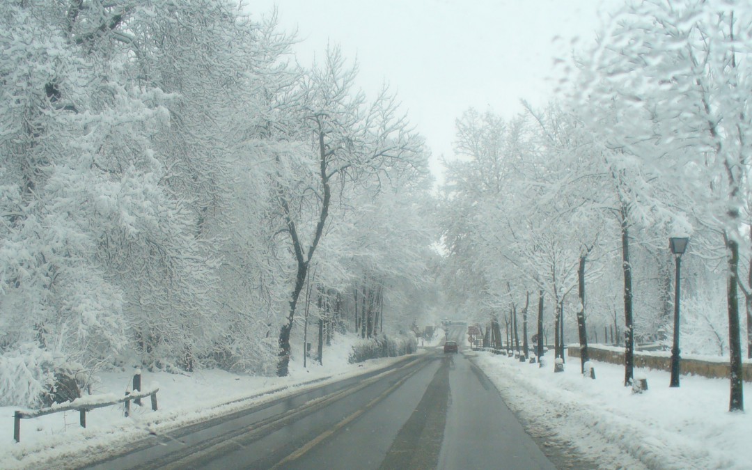 Segovia blanca
